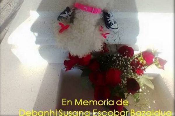 «Bombona», la mascota de Debanhi, luce triste sobre tumba de la joven