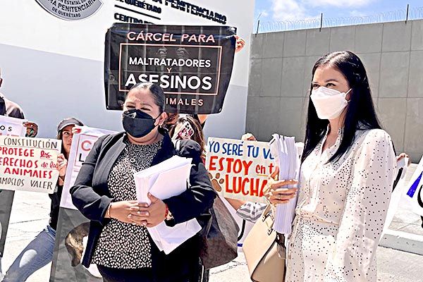 Dan 10 años de prisión a quien mató a perros rescatistas de Querétaro