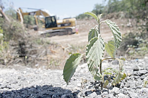 Hallan fosa clandestina en trabajos del Tren Maya