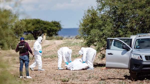 Hallan siete cadáveres en municipios de Zacatecas
