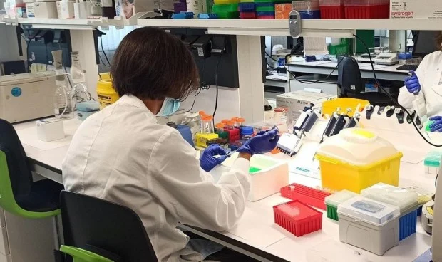 El nuevo virus Langya encontrado en China podría ser solamente la «punta del iceberg», advierten investigadores