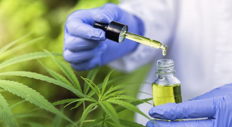 ¿QUÉ BENEFICIOS BRINDA EL CBD AL CUERPO?