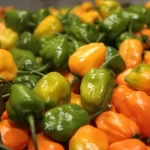 ¿Cuáles son los chiles más picantes y por qué pican?