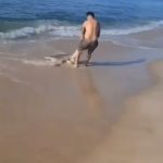 Hombre lucha contra un tiburón en una playa de Nueva York: VIDEO