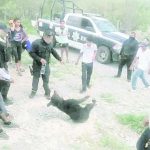 Suspenden a 5 policías por muerte de osezna