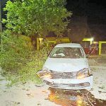 Ensarta carro contra un árbol