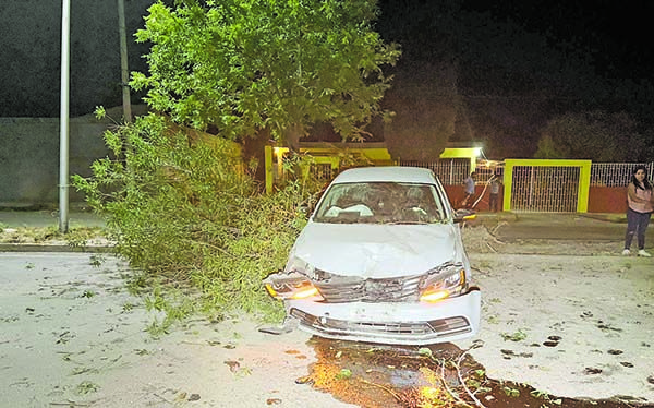 Ensarta carro contra un árbol