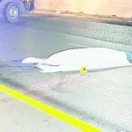 Buscan FGE a cafre homicida