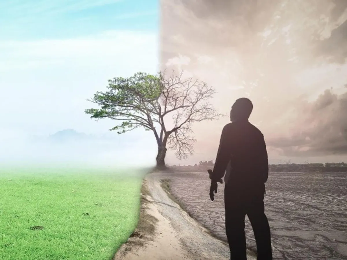 La advertencia científica sobre el riesgo de la extinción humana por una catástrofe climática