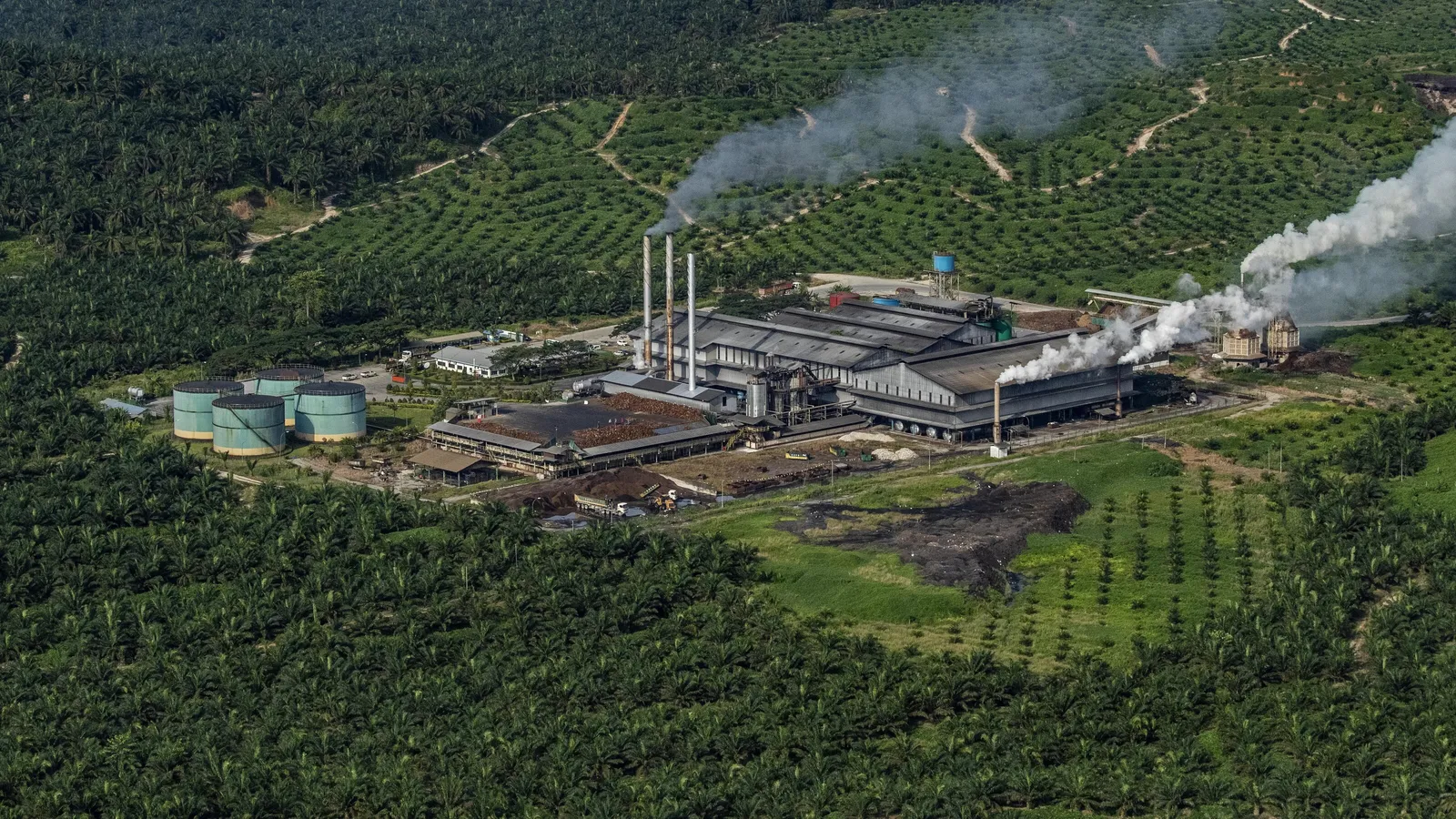 ¿Cuáles son los principales tipos de contaminación ambiental?