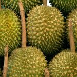 La yaca, una fruta impresionante, desconocida y con muchos beneficios