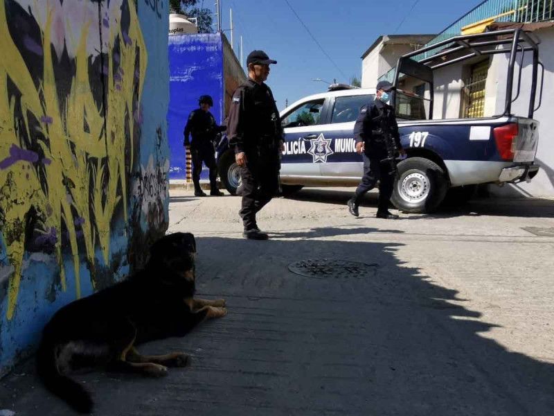 ALARMA PERRO CON BRAZO HUMANO EN EL HOCICO PASEANDO EN CALLES DE LA CIUDAD DE OAXACA