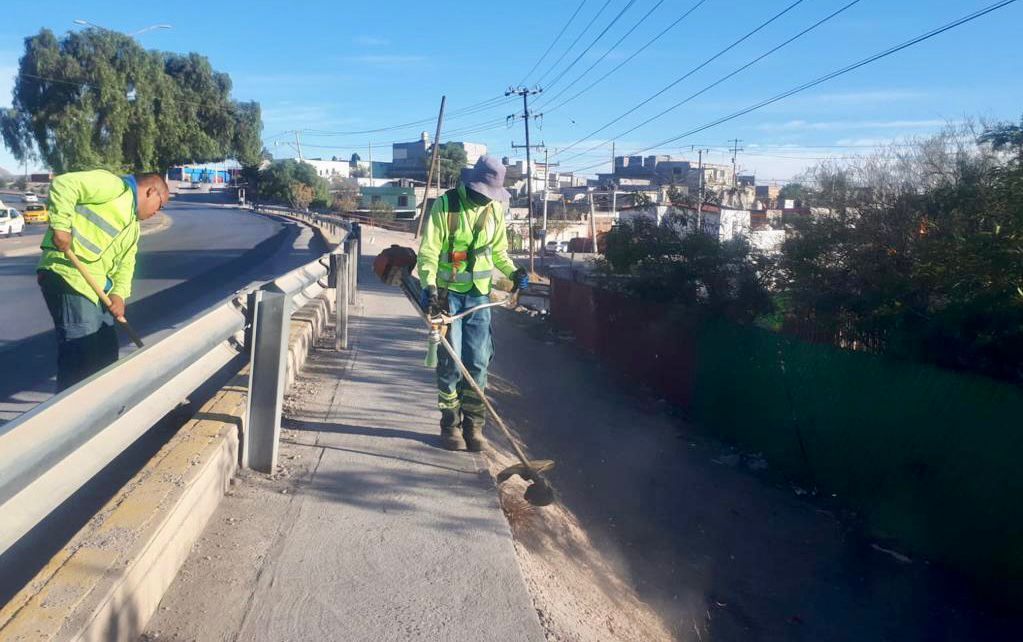 LLEGA PROGRAMA SALTILLO ME GUSTA A LA CALZADA MADERO.- CHEMA FRAUSTRO