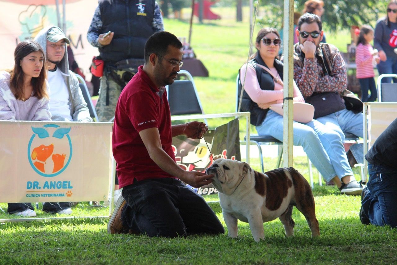 EXHORTA MEDIO AMBIENTE COAHUILA A EXTREMAR CUIDADOS CON MASCOTAS DE COMPAÑÍA
