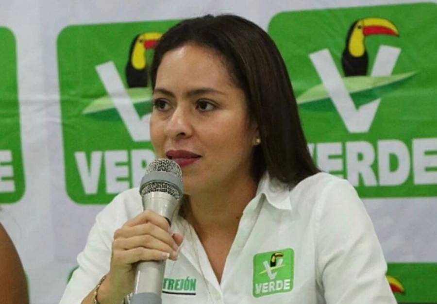 PVEM ANUNCIA QUE VA SIN ALIANZAS EN ELECCIONES DE EDOMEX Y COAHUILA