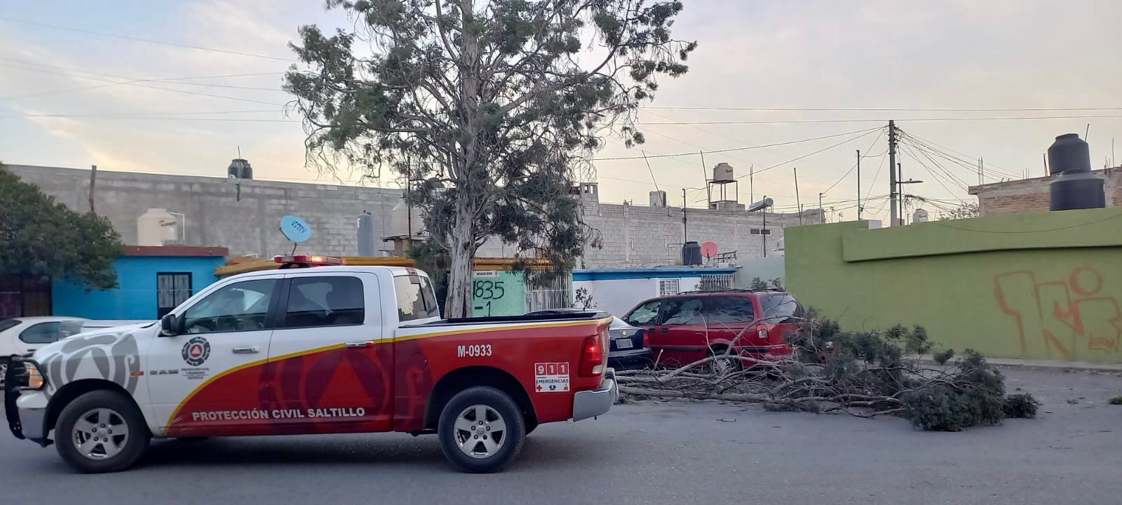 ATIENDE GOBIERNO DE SALTILLO AFECTACIONES POR VIENTO