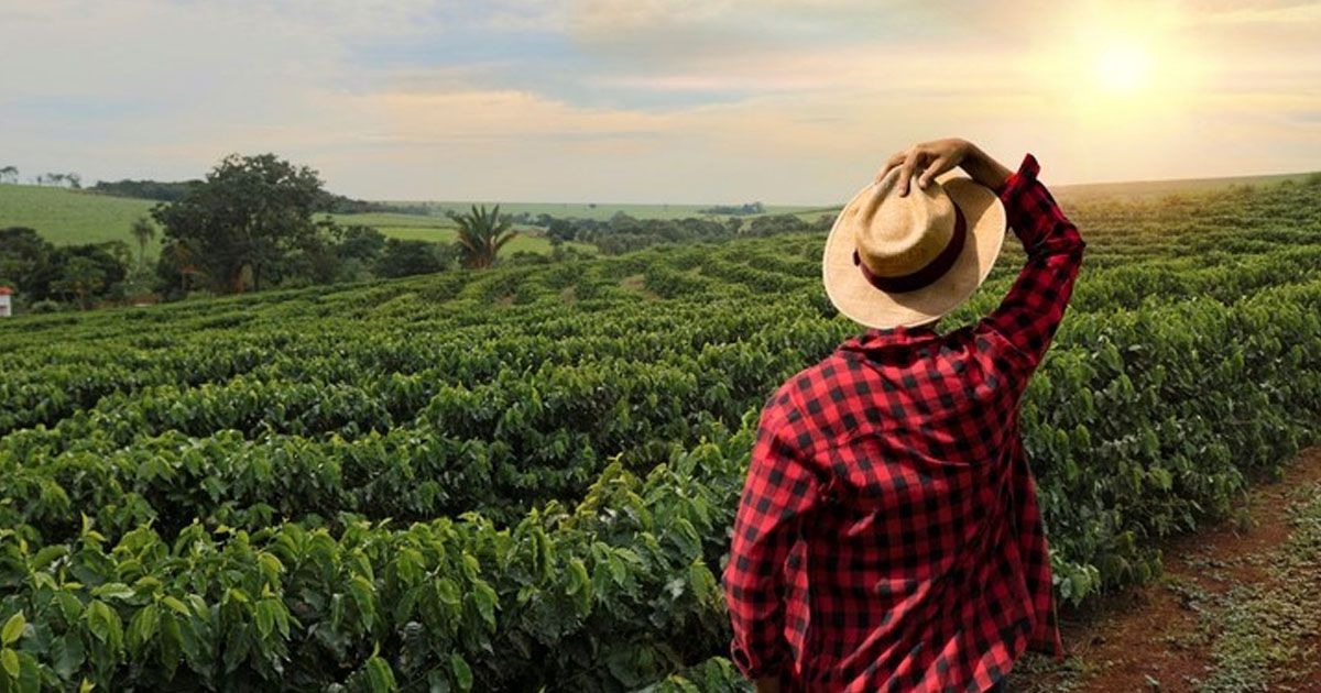 ADIÓS, FINANCIERA RURAL: GOBIERNO PUBLICA EN EL DOF SU DESAPARICIÓN