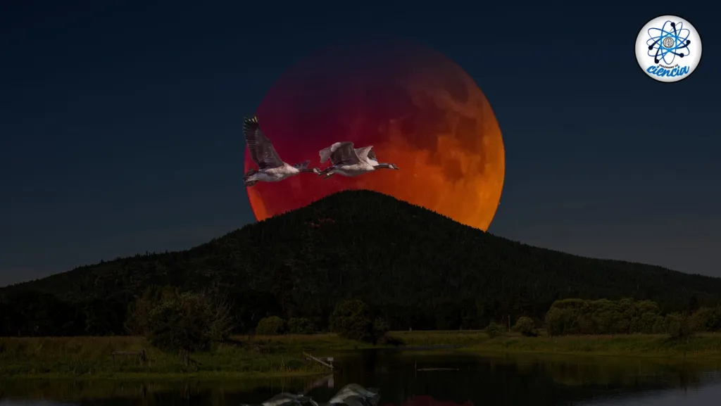 ¿CUÁNTO FALTA PARA QUE PODAMOS VER EN MÉXICO EL SUPERECLIPSE LUNAR DE MAYO?