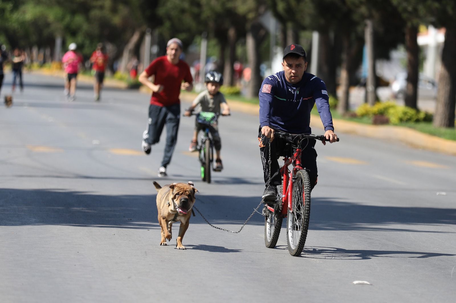 RECUERDE, ESTE DOMINGO LA RUTA RECREATIVA TIENE HORARIO REDUCIDO
