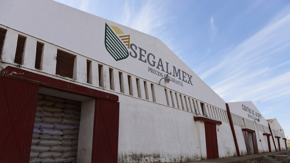 AMLO ADMITE QUE SEGALMEX ES EL “CASO DE CORRUPCIÓN MÁS ESCANDALOSO” DE SU SEXENIO