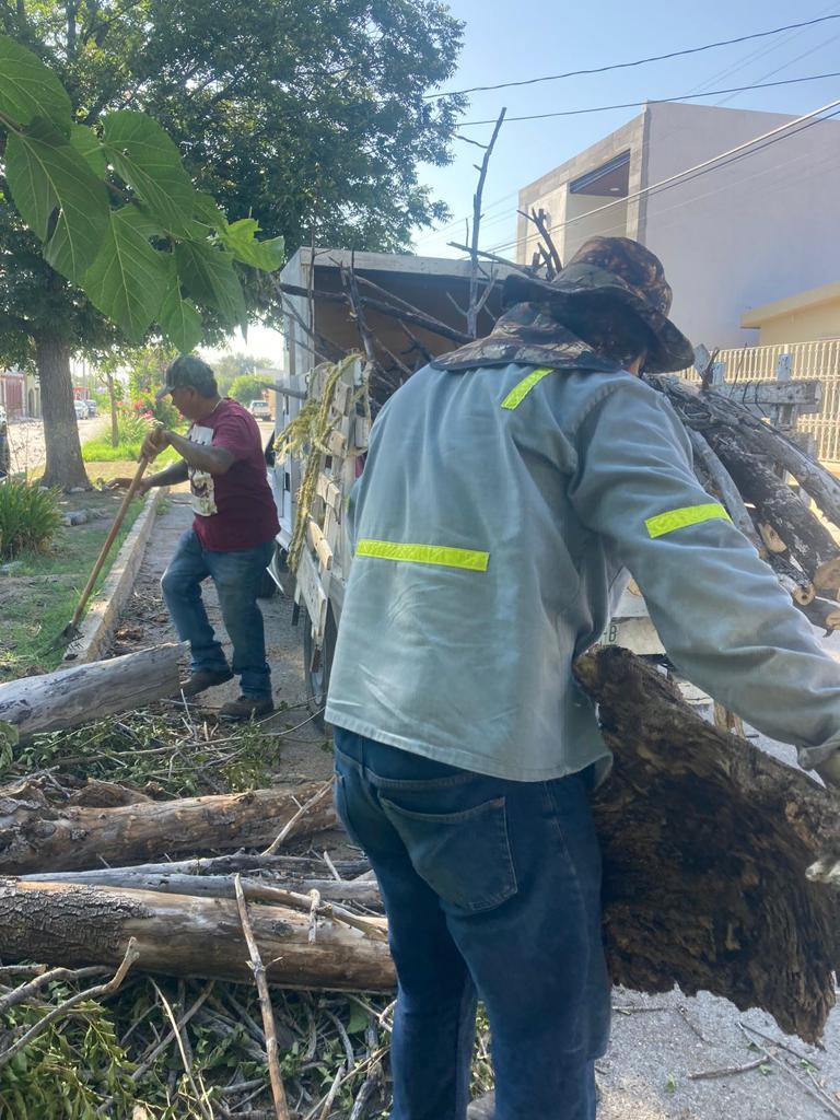 MONCLOVA SE VE MÁS LIMPIA Y ORDENADA.