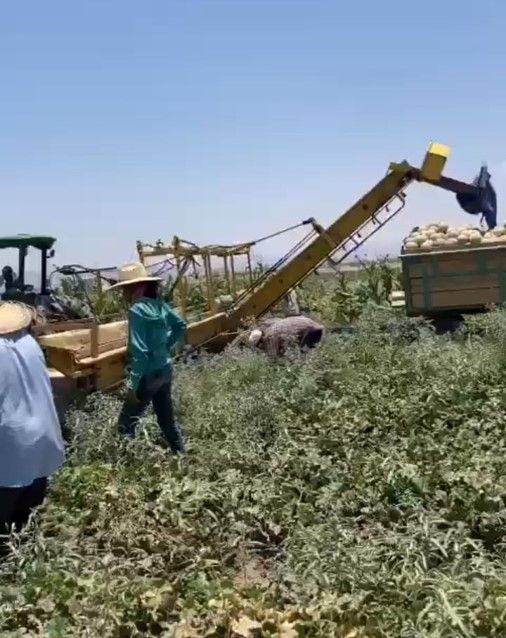 COAHUILA DESTACA EN MÉXICO POR SU PRODUCCIÓN EN EL CAMPO: INEGI