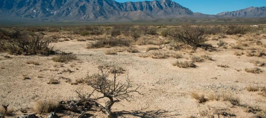 HALLAN CUERPOS DE 2 MIGRANTES MEXICANOS EN DESIERTO DE COAHUILA