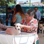 PREVIENEN RICKETTSIA; DESPARASITAN MÁS DE MIL 300 MASCOTAS