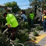 ÁRBOLES Y RAMAS CAÍDAS, SEMÁFOROS APAGADOS Y CORTES DE ENERGÍA, DEJA VENTARRÓN EN SALTILLO