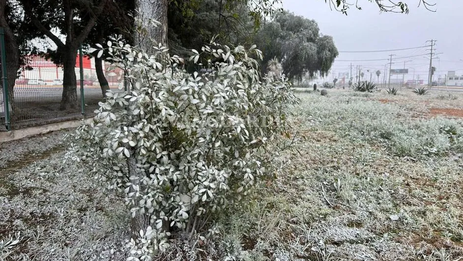 PROTECCIÓN CIVIL REPORTA SALDO BLANCO POR OLA GÉLIDA EN COAHUILA; PREVÉN TEMPERATURAS SE ESTABILICEN