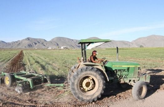PIDE DIPUTACIÓN PERMANENTE QUE VUELVA LA FINANCIERA RURAL