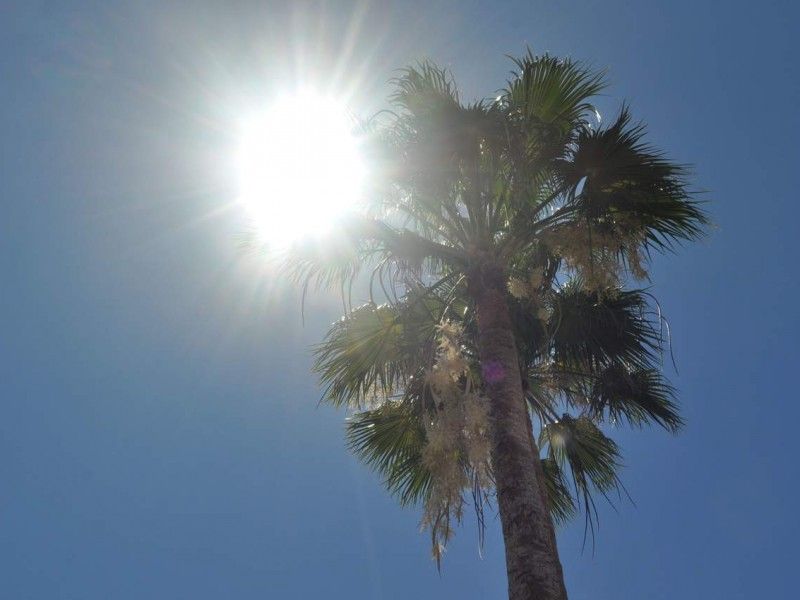 ¡FEBRERO LOCO! TEMPERATURAS ESTA SEMANA SUPERARÍAN LOS 32 GRADOS EN TORREÓN