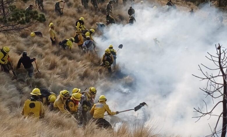 LOGRAN ENFRIAR INCENDIO EN LA SIERRA DE PARRAS