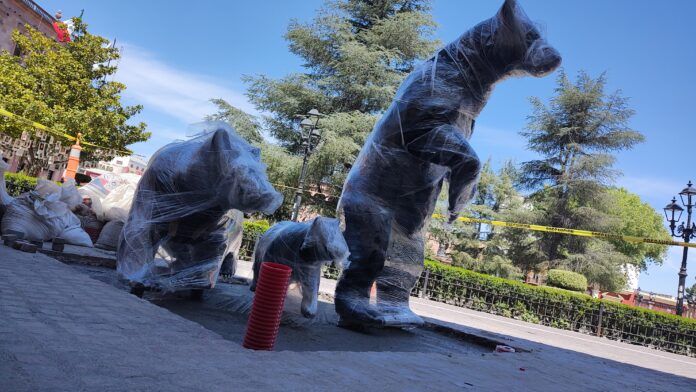 CAPTAN A FAMILIA DE OSOS EN PASEO CAPITAL DE SALTILLO