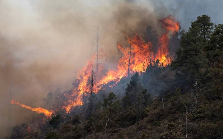 ¡ALERTA COAHUILA! 618 INCENDIOS FORESTALES FUERON REPORTADOS ENTRE 2015 Y 2022