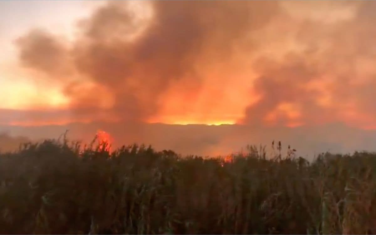 INCENDIOS EN ‘VASO DE CRISTO’ TIÑEN EL CIELO DE GRIS Y EXHIBEN PROMESAS INCUMPLIDAS