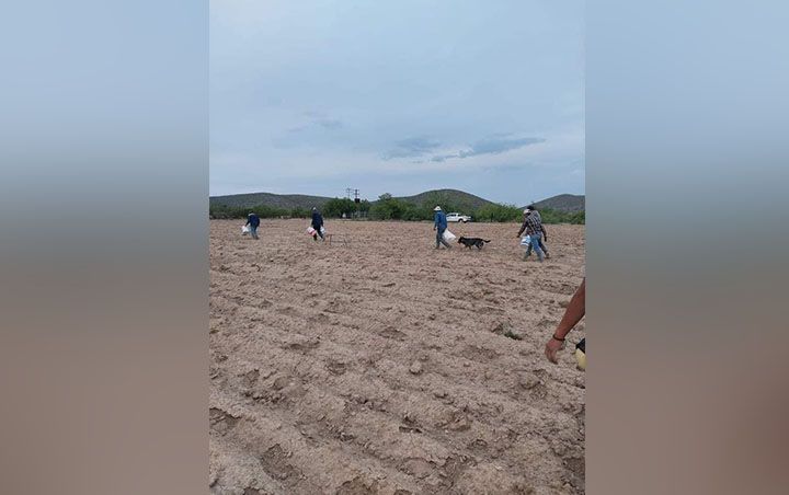 IMPACTA CALOR AL MEDIO RURAL: CNC