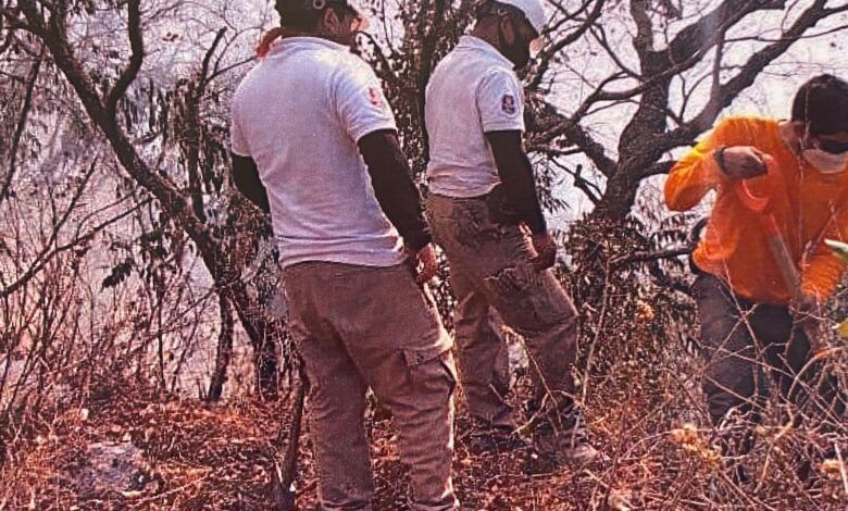 PROVOCAN DESCARGAS ELÉCTRICAS MAYORÍA DE INCENDIOS FORESTALES EN COAHUILA