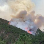 COAHUILA, QUINTO LUGAR NACIONAL EN HECTÁREAS SINIESTRADAS EN INCENDIOS DE 1970 A 2023