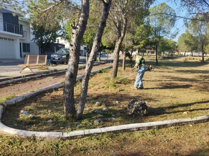 ATIENDE GOBIERNO DE SALTILLO 12 PLAZAS PÚBLICAS AL DÍA