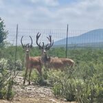 ES ATRACTIVO PARA LOS VACACIONISTAS EL ECOPARQUE MONCLOVA.