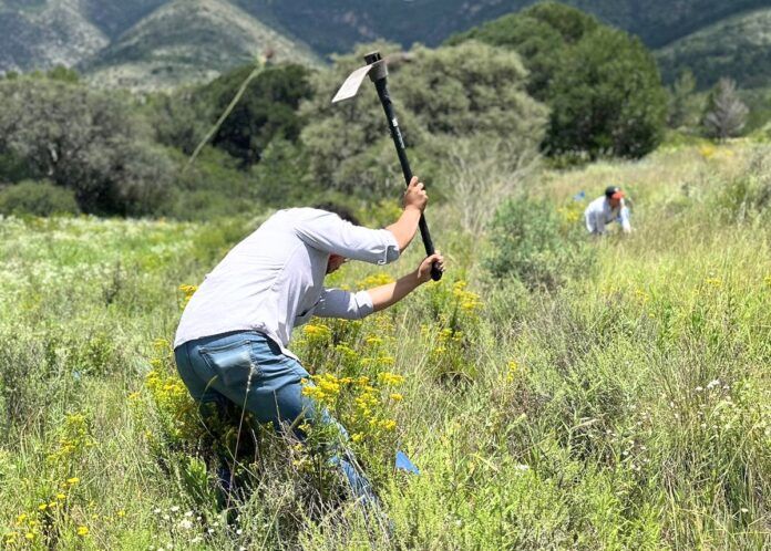 INVITAN A JORNADAS DE REFORESTACIÓN DE SIERRA DE ARTEAGA 
