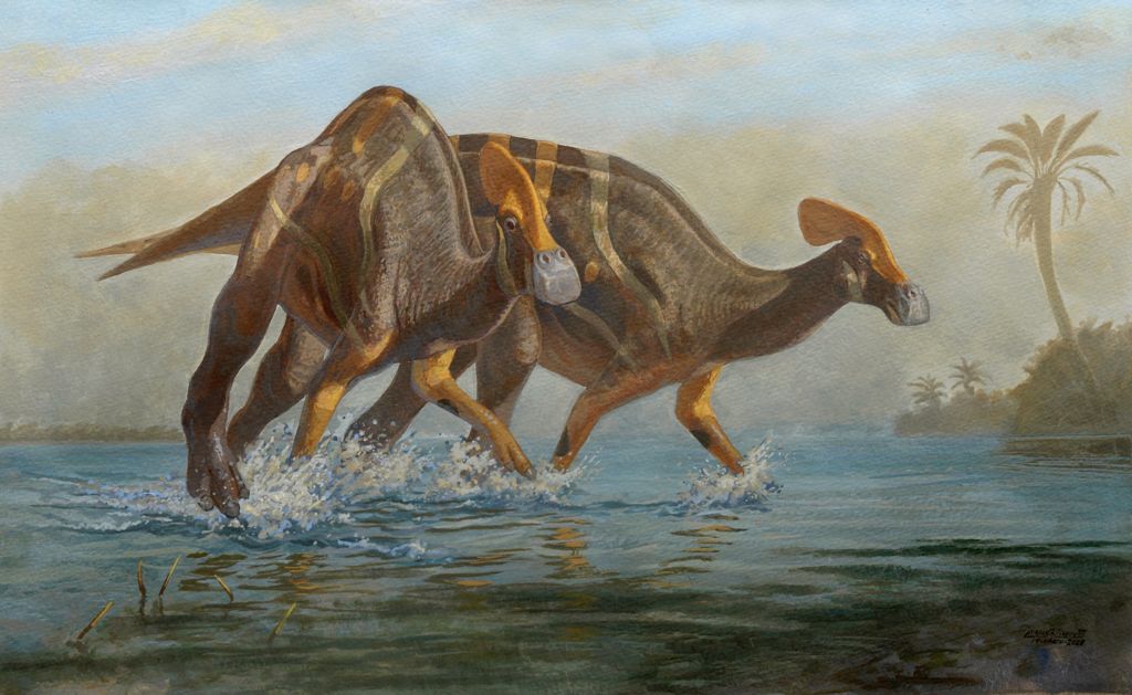DESCUBREN NUEVO DINOSAURIO EN COAHUILA; VIVIÓ AQUÍ HACE 75 MILLONES DE AÑOS