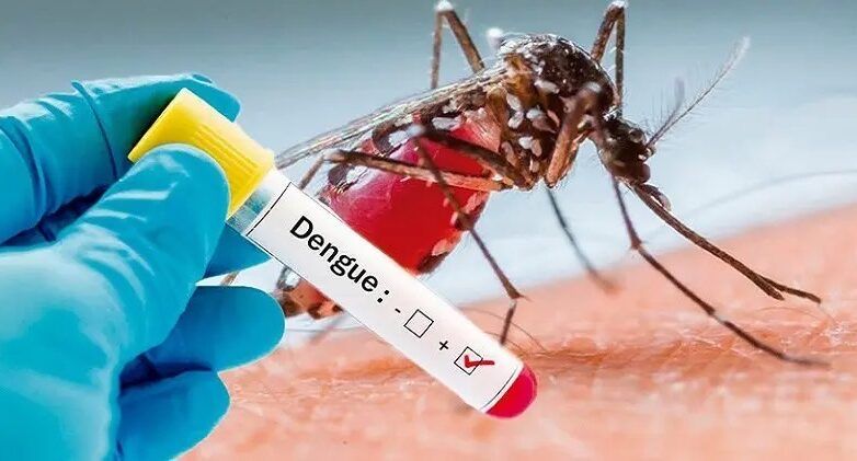 ACCIONES CONTRA EL DENGUE AVANZAN CON PREVENCIÓN Y TRATAMIENTO EFECTIVO.
