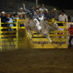 INICIA ESTE VIERNES EL FESTIVAL RODEO SALTILLO 2024