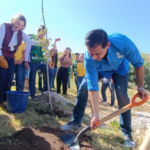 PUEDEN COAHUILENSES AYUDAR AL MEDIO AMBIENTE AL OPTAR POR ÁRBOLES DE NAVIDAD REUTILIZABLES 