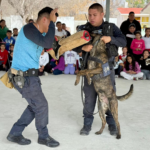 ALCALDE DE SAN BUENAVENTURA Y SUBSECRETARÍA DE PROXIMIDAD SOCIAL LLEVAN EXHIBICIÓN DE PERROS POLICÍA A ESCUELA