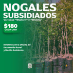 IMPULSA SAN JUAN DE SABINAS PROGRAMA DE SUBSIDIO PARA ADQUISICIÓN DE NOGALES