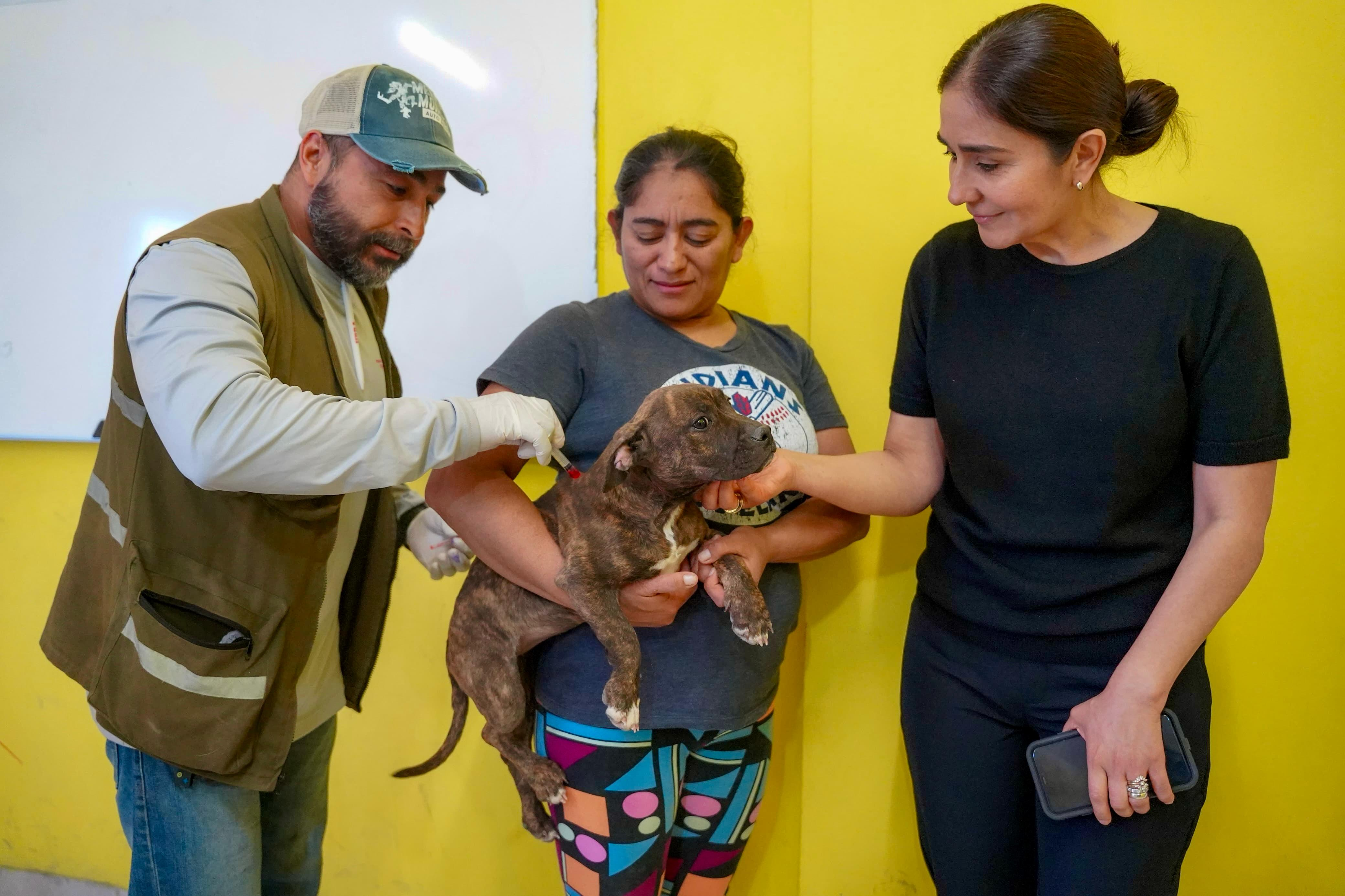 RAMOS ARIZPE PRIORIZA ATENCIÓN DE MASCOTAS