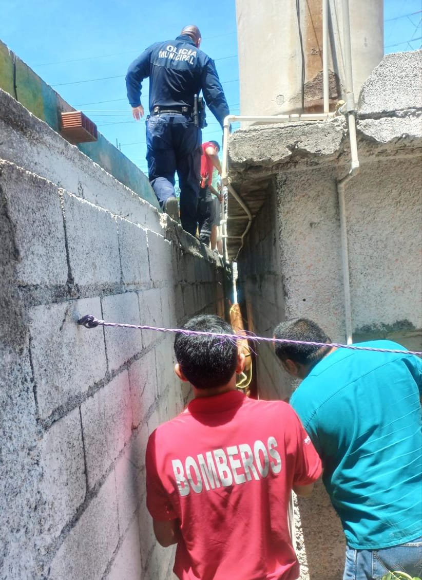 AUTORIDADES DE FRONTERA RESCATAN A CABALLO EN LA COLONIA GUADALUPE BORJA